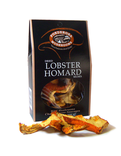 Mushroom- Ponderossa- Lobster